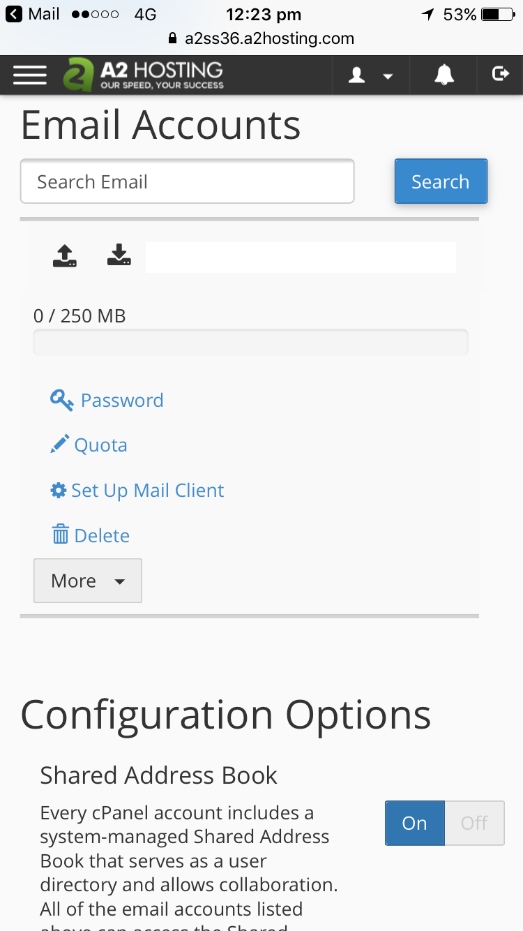 Setting up easy access to email account on your mobile | The Freedom Chaser
