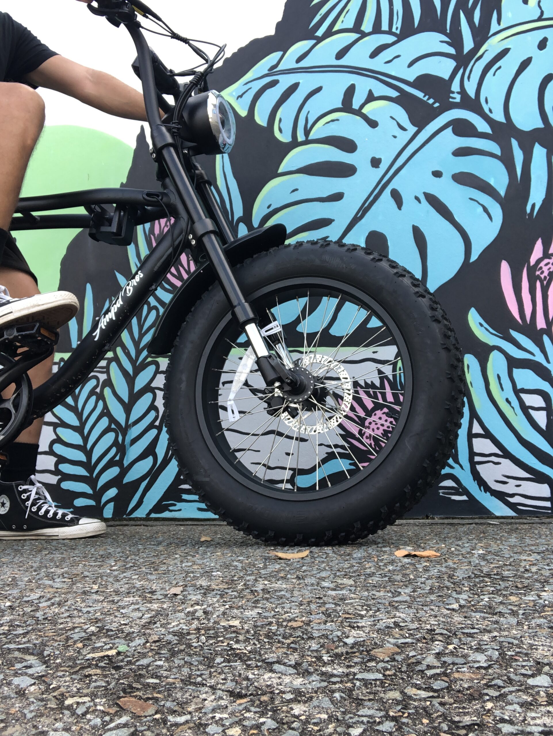 ampdbrosebikediscbrakes The Freedom Chaser